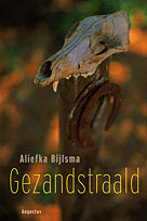 boek